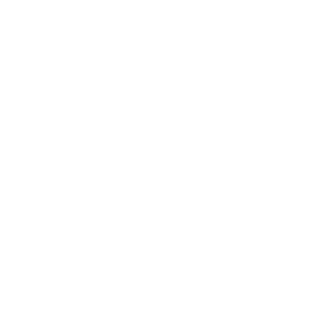 ddr Logo